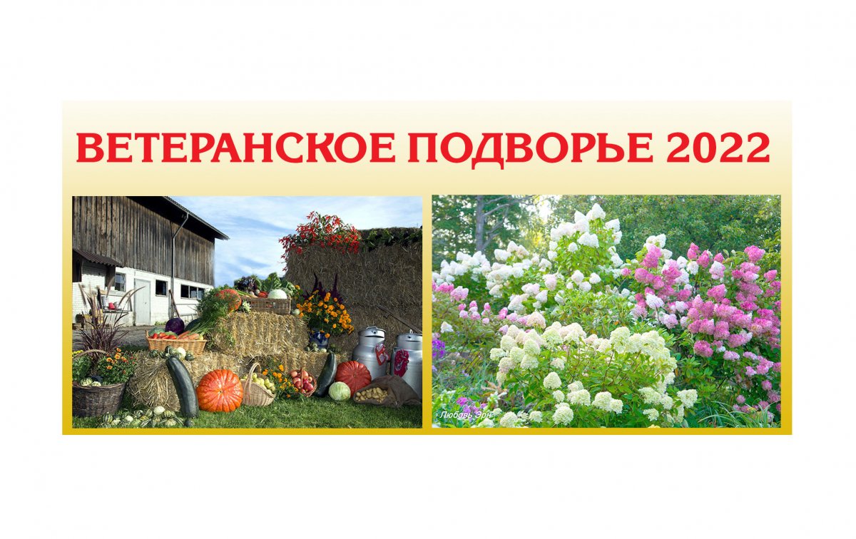 Как организовать конкурс в нашем городе - Городская  общественно-политическая газета