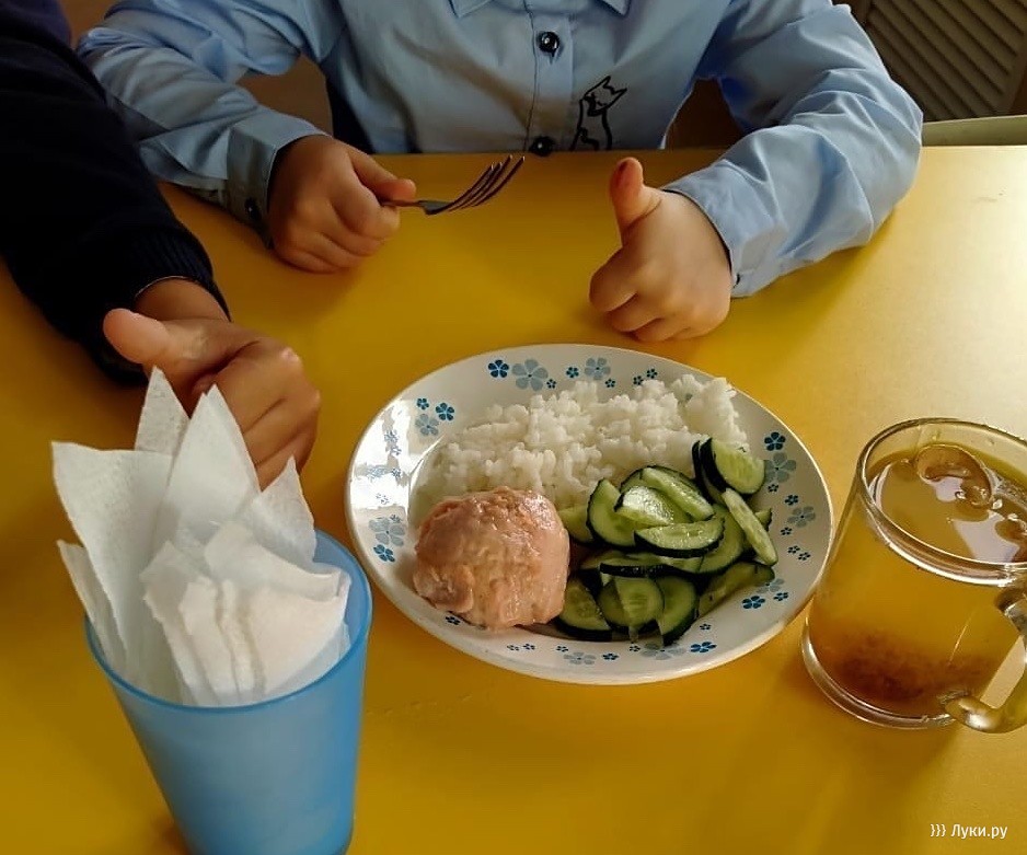 Ребенок овз питание в школе