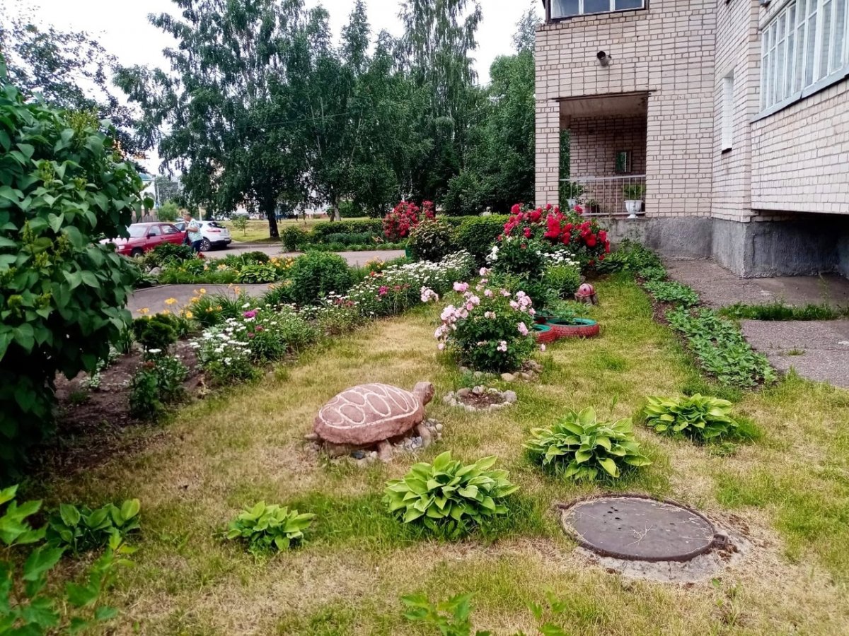 Жители дома по улице Гражданской создали цветущий оазис во дворе -  Городская общественно-политическая газета